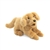 Full Body Golden Retriever Puppy Puppet by Folkmanis Puppets