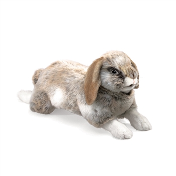 Full Body Holland Lop Puppet by Folkmanis Puppets