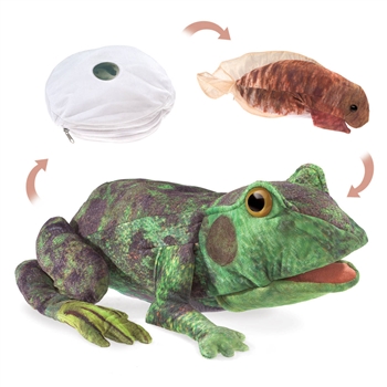 Full Body Frog Life Cycle Puppet by Folkmanis Puppets