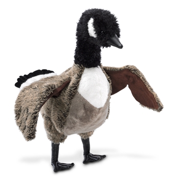 Full Body Canadian Goose Puppet by Folkmanis Puppets