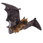 Fruit Bat Hand Puppet by Folkmanis Puppets