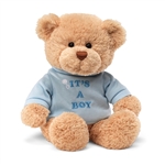 Its a Boy Teddy Bear with Embroidered Blue Shirt by Gund