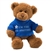 Im the Big Brother Teddy Bear with Embroidered Blue Shirt by Gund
