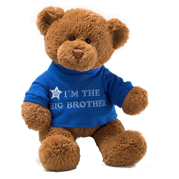Im the Big Brother Teddy Bear with Embroidered Blue Shirt by Gund