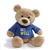 Get Well Teddy Bear with Embroidered Blue Shirt by Gund