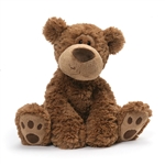 Grahm the 12 Inch Brown Teddy Bear by Gund