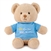 I'm the Big Brother Teddy Bear with Blue Shirt by Gund