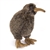 Handcrafted 8 Inch Lifelike Kiwi Stuffed Animal by Hansa