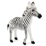 Handcrafted 12 Inch Lifelike Baby Zebra Stuffed Animal by Hansa