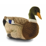 Handcrafted 14 Inch Lifelike Mallard Duck Stuffed Animal by Hansa