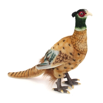 Handcrafted 12 Inch Lifelike Pheasant Stuffed Animal by Hansa