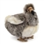 Handcrafted 10 Inch Lifelike Dodo Bird Stuffed Animal by Hansa