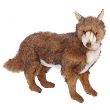 Lifelike Coyote Stuffed Animal by Hansa