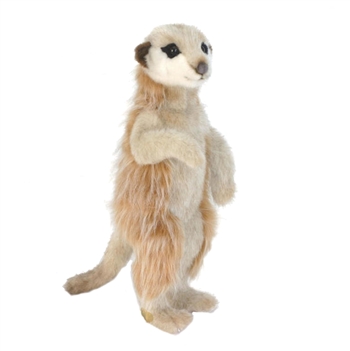 Lifelike Meerkat Stuffed Animal by Hansa