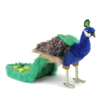 Handcrafted 10 Inch Lifelike Peacock Stuffed Animal by Hansa