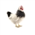 Lifelike Black and White French Hen Stuffed Animal by Hansa