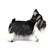 Lifelike Black Miniature Schnauzer Stuffed Animal by Hansa
