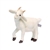 Lifelike Baby White Goat Stuffed Animal by Hansa