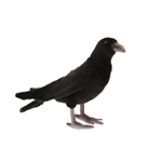 Lifelike Black Crow Stuffed Animal by Hansa