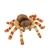 Lifelike Jumping Spider Stuffed Animal by Hansa