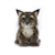 Handcrafted 6 Inch Lifelike Lynx Cub Stuffed Animal by Hansa