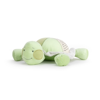 Grow Slow Baby Safe Plush Turtle by Demdaco