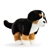 Animalcraft 9 Inch Plush Bernese Mountain Dog by Demdaco