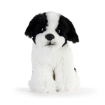 Animalcraft 6 Inch Stuffed Havanese Dog by Demdaco