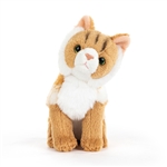 Animalcraft 6.5 Inch Stuffed Maine Coon Cat by Demdaco