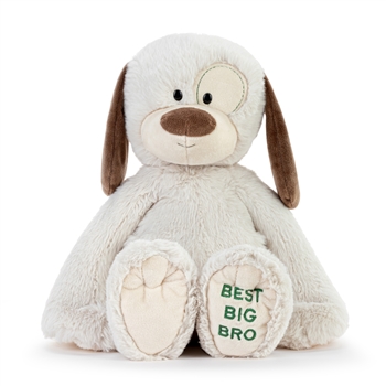 Best Big Bro Stuffed Dog by Demdaco