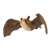 Stuffed Brown Bat Conservation Critter by Wildlife Artists