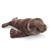 Plush Sea Lion 15 Inch Conservation Critter by Wildlife Artists