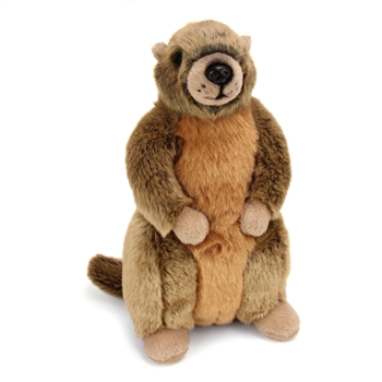 Plush Yellow-Bellied Marmot Conservation Critter by Wildlife Artists