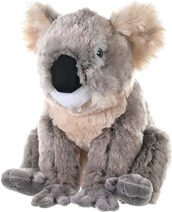 Plush Koala Bear 11 Inch Stuffed Animal Cuddlekin By Wild Republic