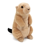 Plush Prairie Dog 12 Inch Stuffed Animal Cuddlekin by Wild Republic