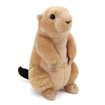 Plush Prairie Dog 12 Inch Stuffed Animal Cuddlekin by Wild Republic