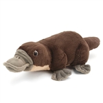 Cuddlekins Platypus Stuffed Animal by Wild Republic