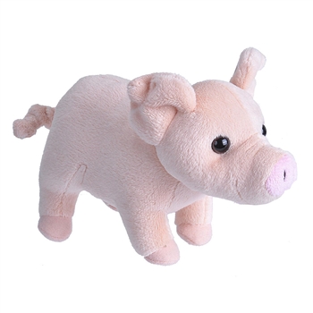 Pocketkins Small Plush Pig by Wild Republic
