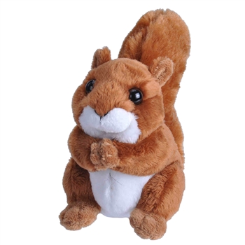 Pocketkins Small Plush Red Squirrel by Wild Republic