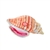 Wild Calls Stuffed Queen Conch Shell with Real Sound by Wild Republic