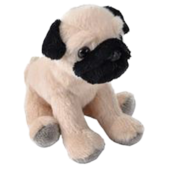 Pocketkins Small Plush Pug by Wild Republic