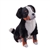 Rescue Dogs Plush Bernese Mountain Dog with Bark Sound by Wild Republic