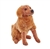 Rescue Dogs Plush Golden Retriever with Bark Sound by Wild Republic