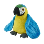 Pocketkins Eco-Friendly Small Plush Blue and Gold Macaw by Wild Republic