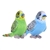 Set of 2 Plush Budgie Parakeets by Wild Republic