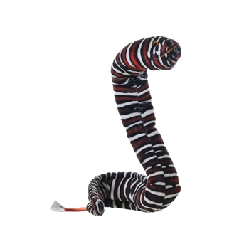 Coilkins Posable Stuffed Zebra Moray Eel by Wild Republic