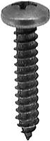 #10 X 1 Phil Pan Hd T.S. - Black Oxide