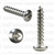 10 X 1 Phillips Pan Head Tap Screw 18-8