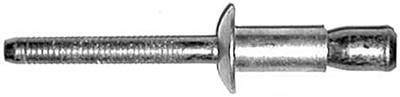 GM Window Regulator Rivets 1/4 Diameter 10157547