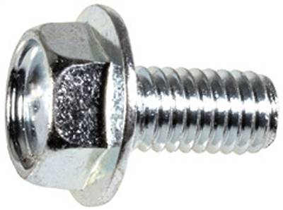 Hex Flange License Plate Screw M6-1.0 X 12mm